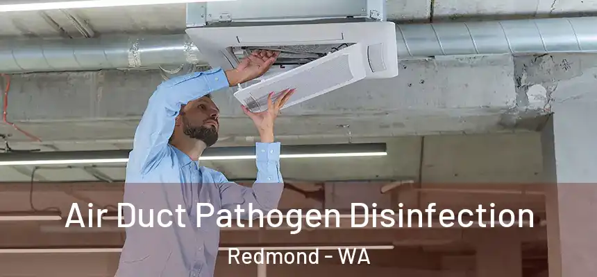 Air Duct Pathogen Disinfection Redmond - WA