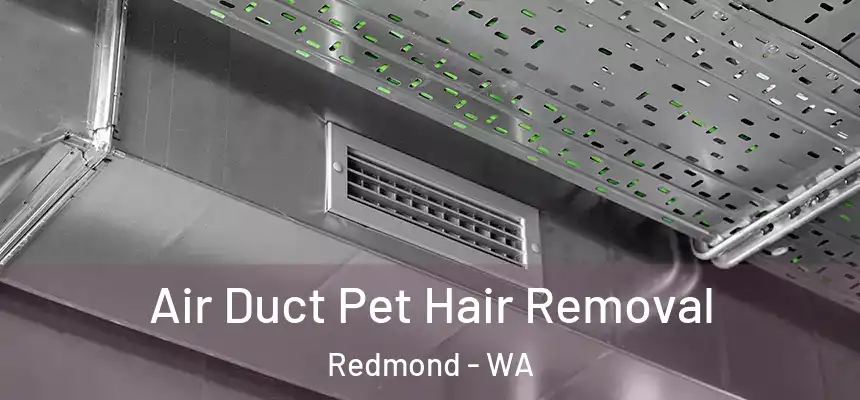 Air Duct Pet Hair Removal Redmond - WA