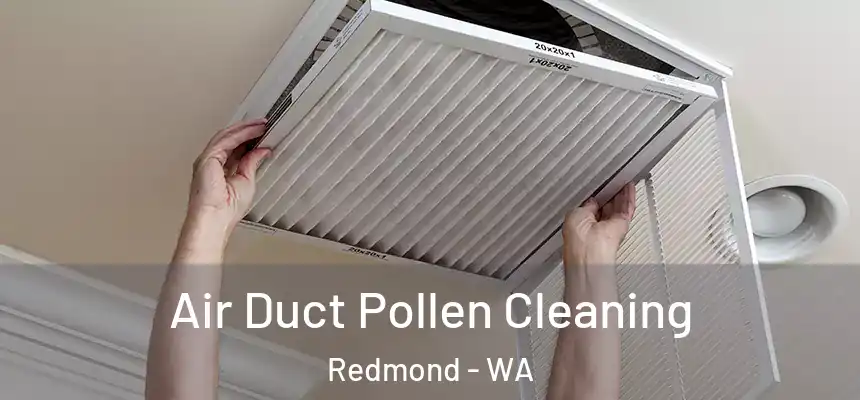 Air Duct Pollen Cleaning Redmond - WA