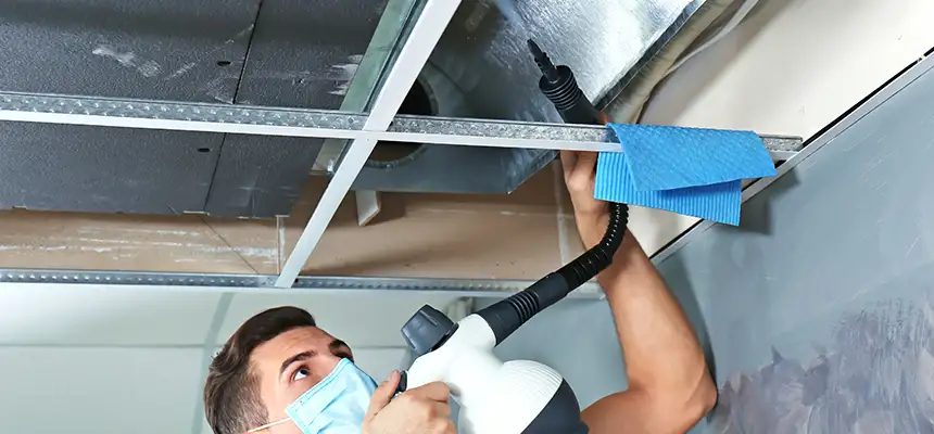 Our Air Duct Rodent Removal Services in Redmond, WA