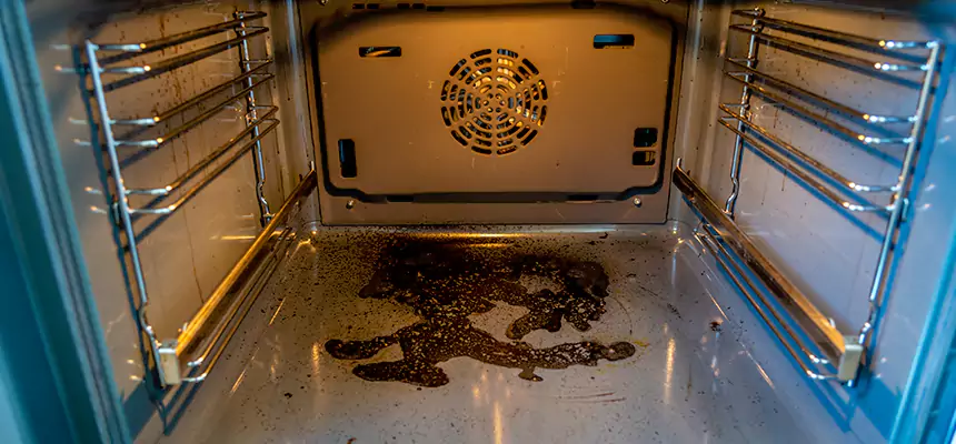 Our Dryer Vent Mold Cleaning Services in Redmond, WA