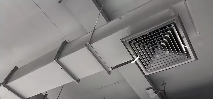 Our Rodent Droppings In Vents Services in Redmond, WA