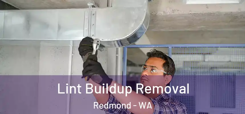 Lint Buildup Removal Redmond - WA