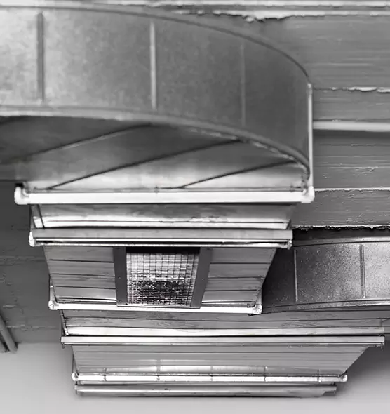 Professional Air Duct Pet Hair Removal in Redmond, WA