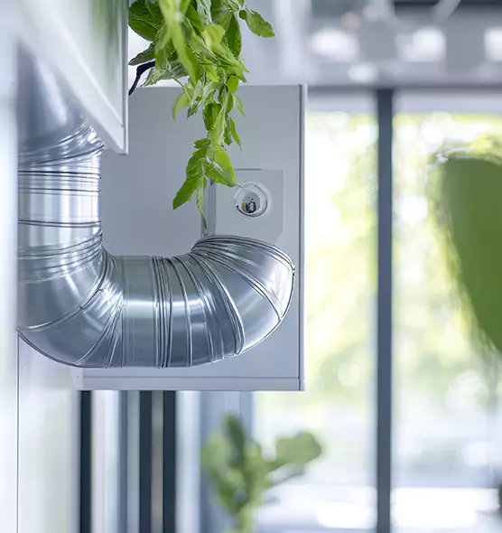 Professional Eco-Friendly Duct Cleaning Services in Redmond, WA