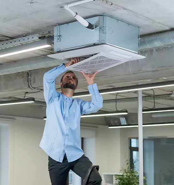 Advanced Rodent Droppings In Vents in Redmond, WA