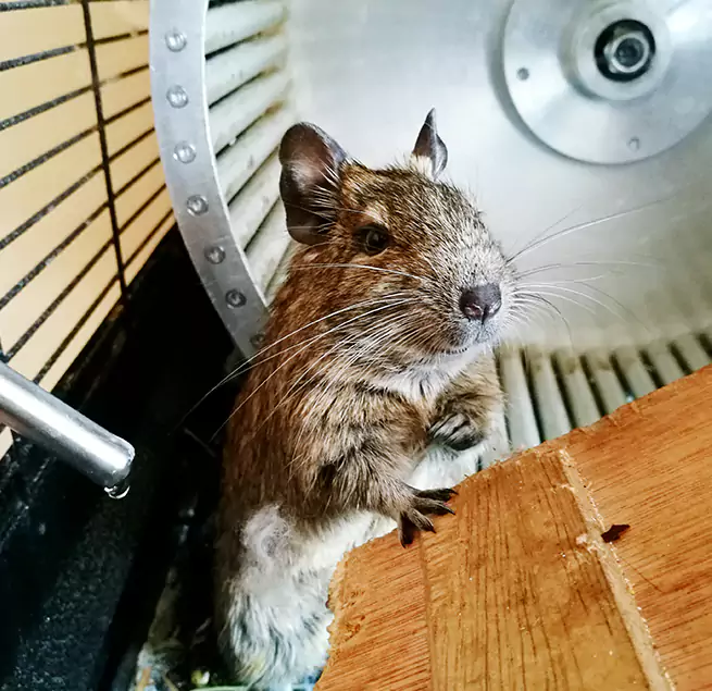 Why Homeowners & Businesses Trust Us Redmond, WA?