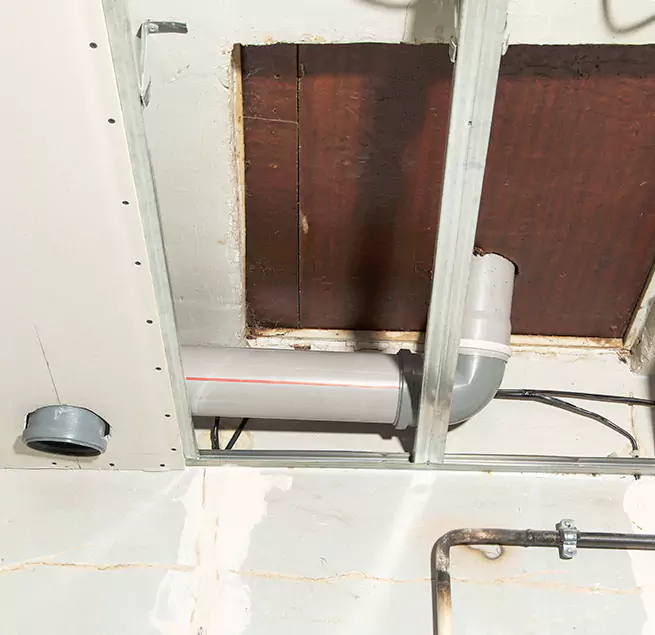 Why Homeowners & Businesses Trust Us in Redmond, WA?