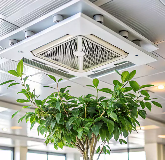 Why Homeowners & Businesses Trust Us in Redmond, WA