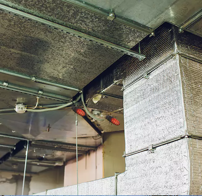 Why Homeowners & Businesses Trust Us Redmond, WA?