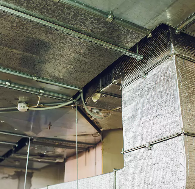 Why Homeowners & Businesses Trust Us in Redmond, WA?